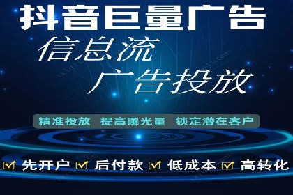 专业SEM服务公司案例分析报告