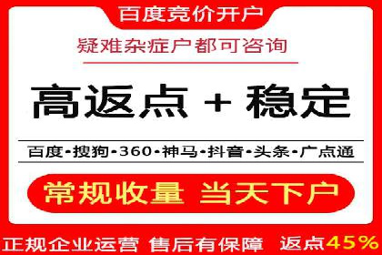 百度竞价排名服务的广告投放技巧与策略